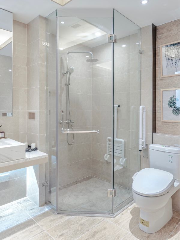 Toilet Installation Services in Catalina